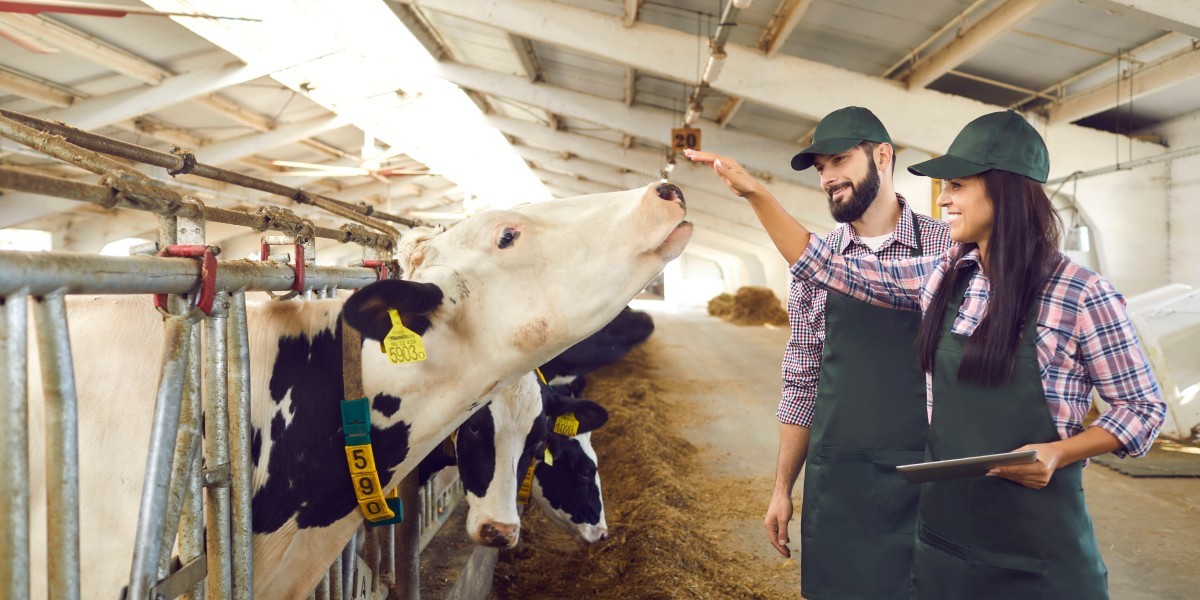 Αξιοποίηση της τεχνολογίας RFID για τη διαχείριση της ακριβούς γεωργίας