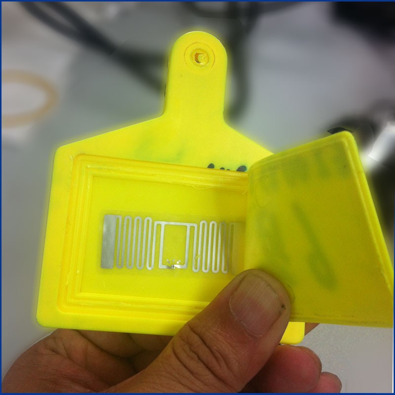 Υψηλής ποιότητας ετικέτες αυτιών ζώων UHF RFID JT-307